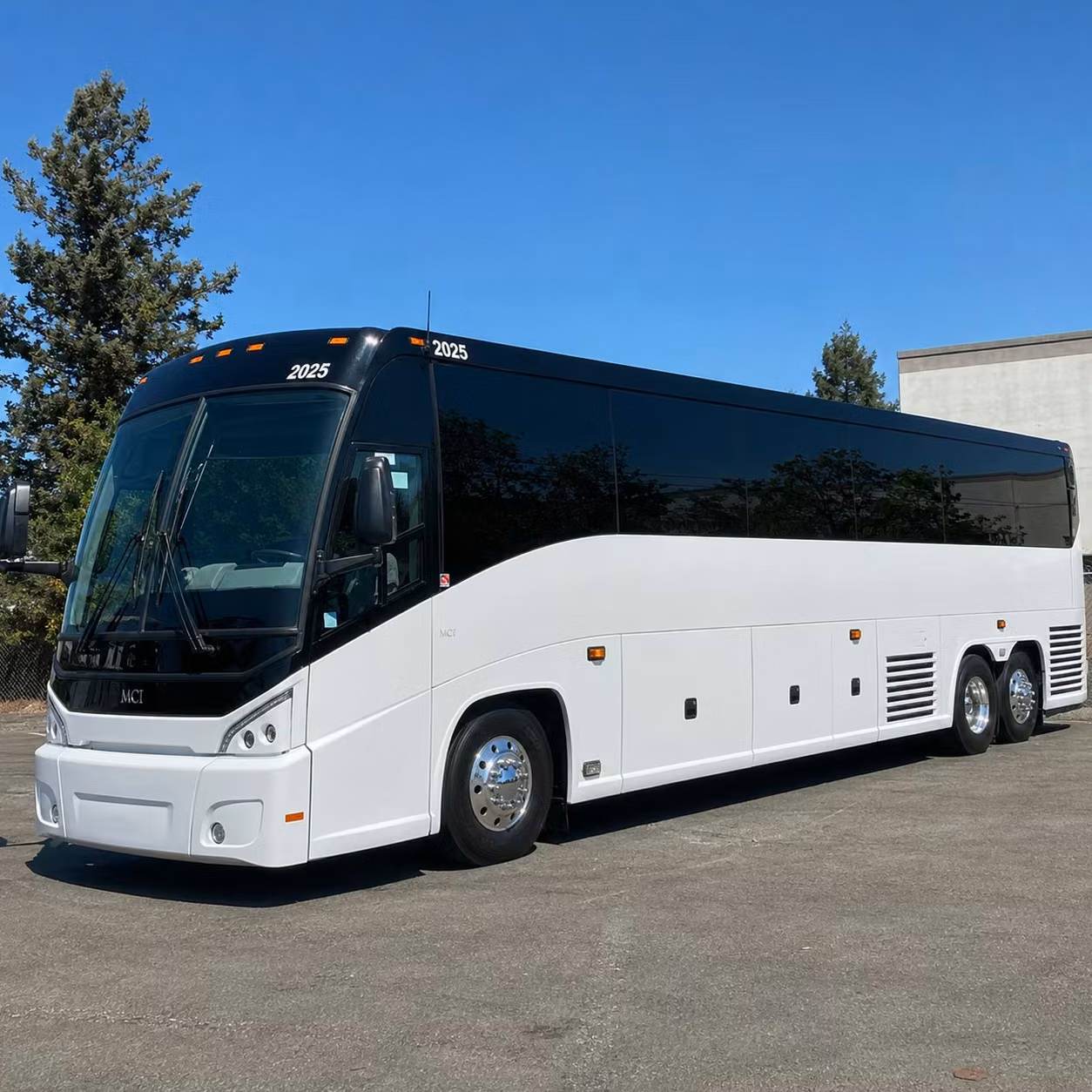 compare religious group transportation options in novi and beyond
