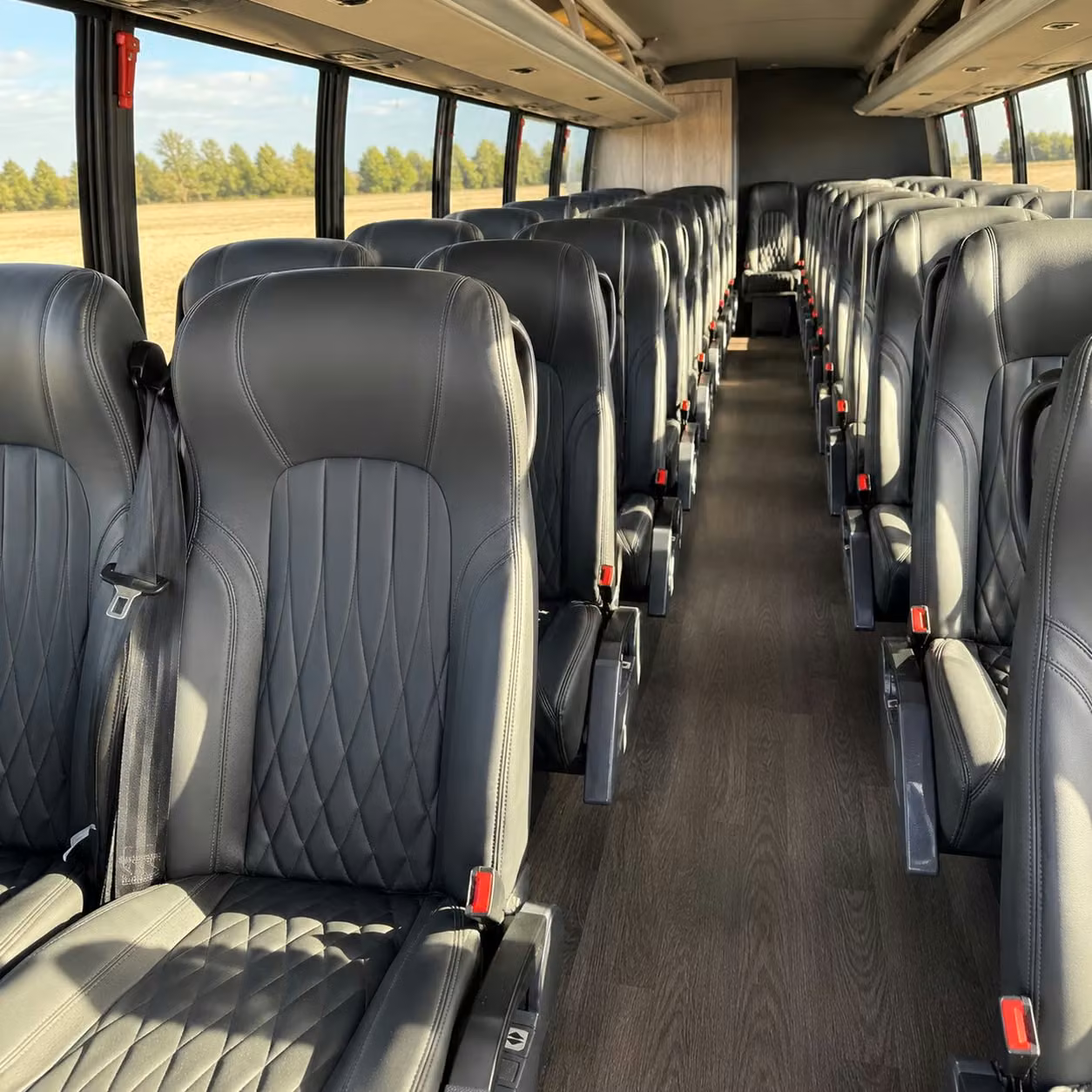 novi wedding transportation